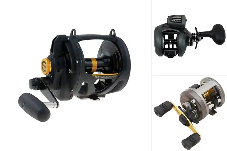 Detailed view of Best 3BB Fishing Reels: Top 7 Smooth & Durable Picks