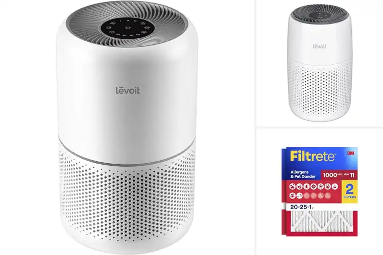 Detailed view of Best Allergy Filters: Top 10 Picks for Cleaner, Fresher Air