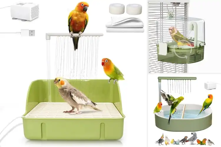 Detailed view of Best Automatic Bird Baths