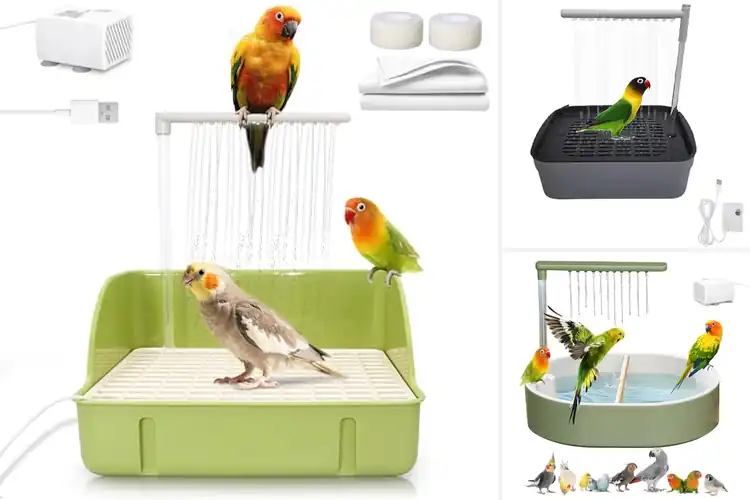 Detailed view of Best Automatic Bird Showers – Happy, Healthy Birds