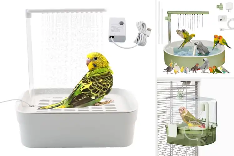 Detailed view of Best Automatic Showers For Birds