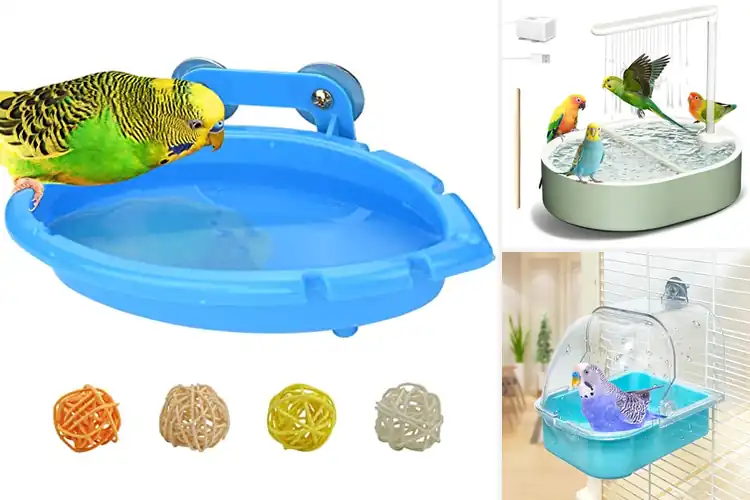 Detailed view of Best Bird Bath Tubs