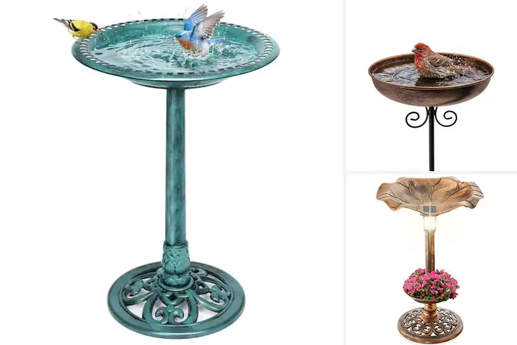 Detailed view of Best Bird Baths: Attract Feathered Friends