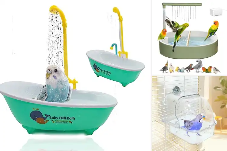 Detailed view of Best Bird Bathtubs: Top 10 Fun & Safe Picks