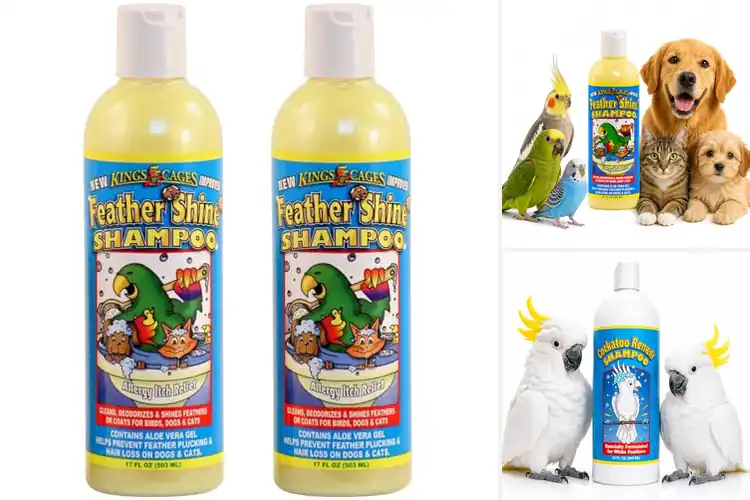 Detailed view of Best Bird Shampoos: Top 10 Gentle Picks for Healthy Feathers