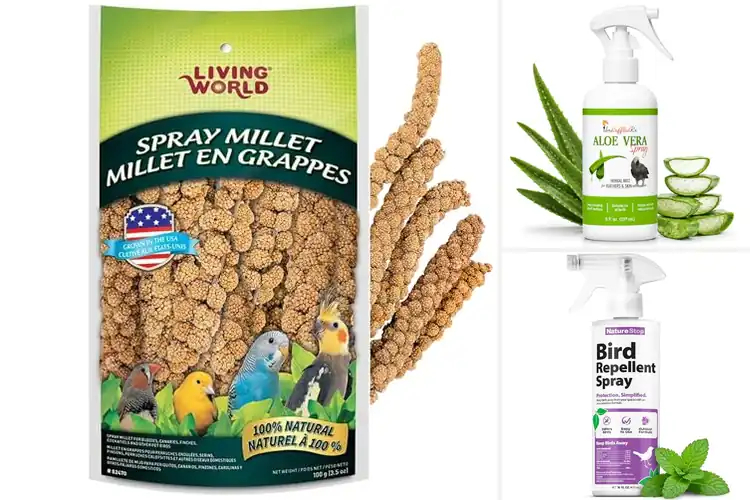 Detailed view of Best Bird Sprays
