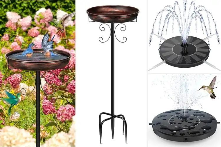 Detailed view of Best Circulating Bird Baths: Top 10 Garden Picks