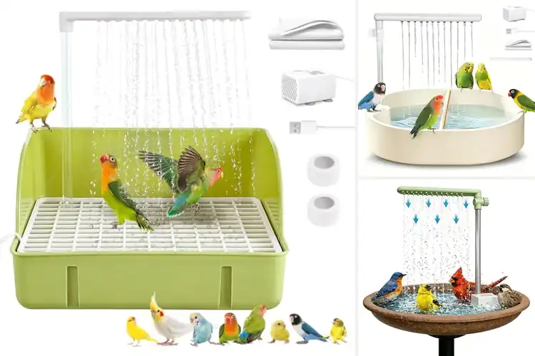 Detailed view of Best Circulating Faucet Bird Showers