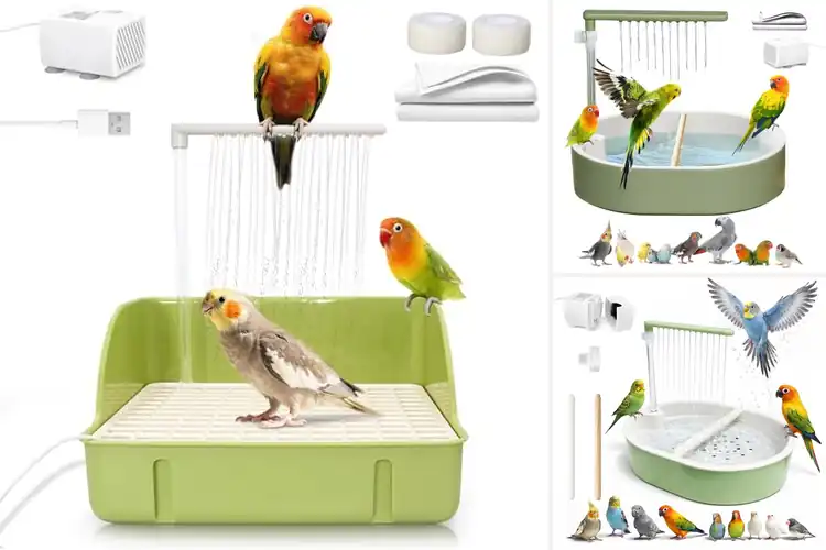 Detailed view of Best Cockatiel Bath Showers