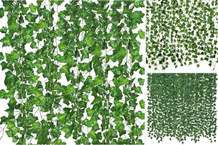 Detailed view of Best Decorative Leaves