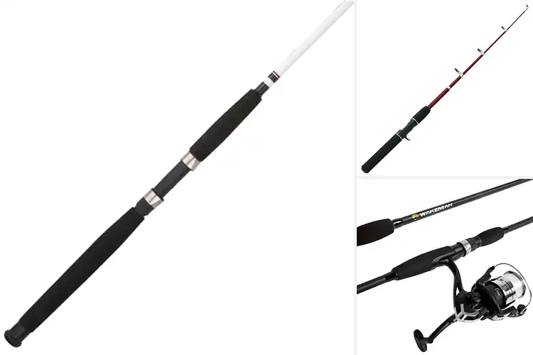Detailed view of Best Fiberglass Fishing Rods: Top 10 for Smooth Casting