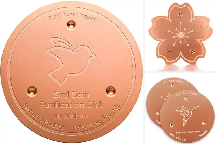 Detailed view of Best Healthy Bird Baths for Happy Gardens