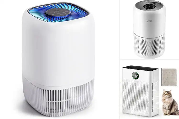 Detailed view of Best Home Purifiers: Top 10 Picks for Fresh, Clean Air
