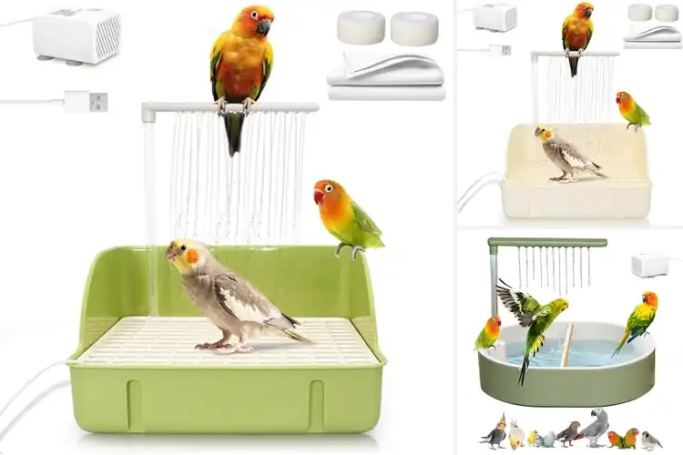 Detailed view of Best Indoor Bird Bathtubs: Top 10 Picks for Happy Birds