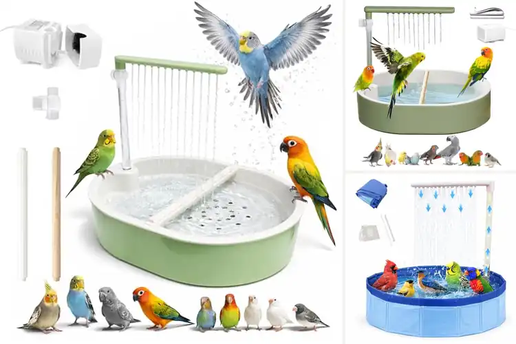 Detailed view of Best Indoor Bird Pools: Top 10 Fun Splash Zones for Your Pet