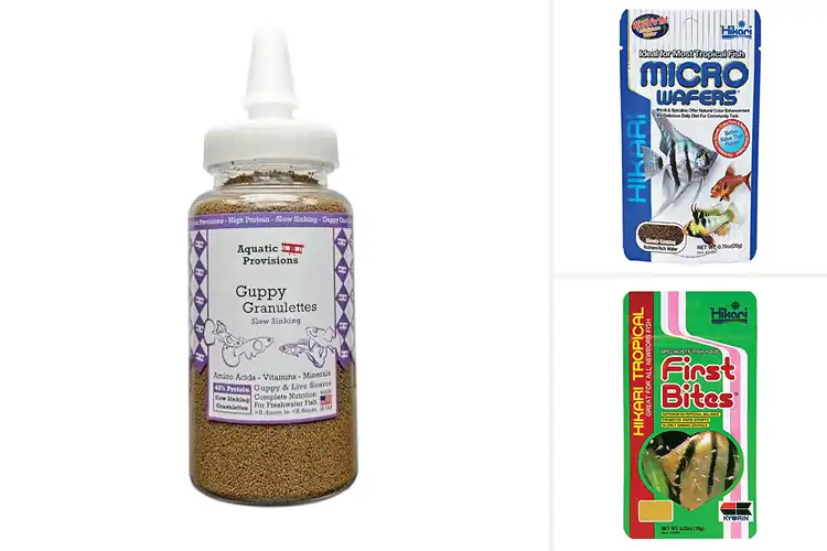Detailed view of Best Livebearer Foods