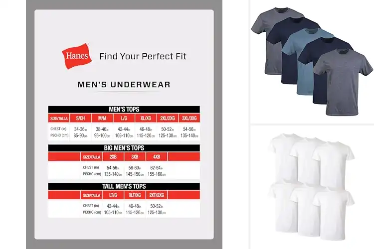 Detailed view of Best Multi Pack Cotton Tees: Top Picks for Comfort & Style