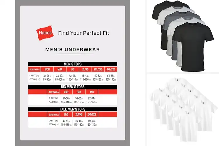 Detailed view of Best Multi Pack Tees: 10 Top Picks for Comfort & Style