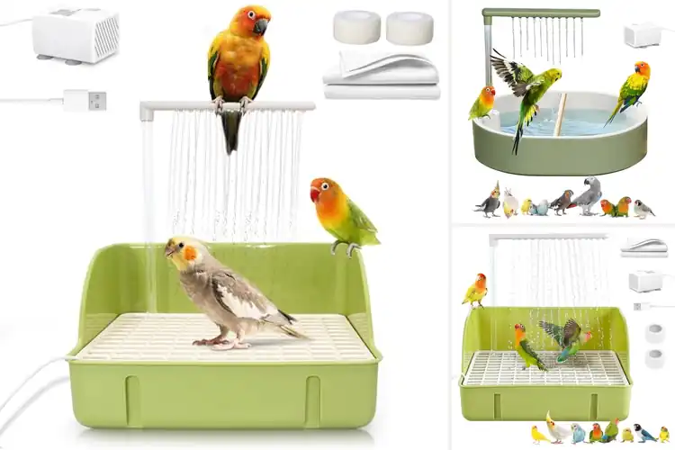 Detailed view of Best Parrot Bathtubs: Fun & Safe Picks for Your Bird