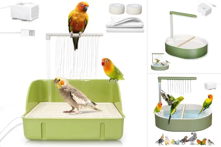 Detailed view of Best Parrot Showers: Top Picks for Happy, Healthy Splashing
