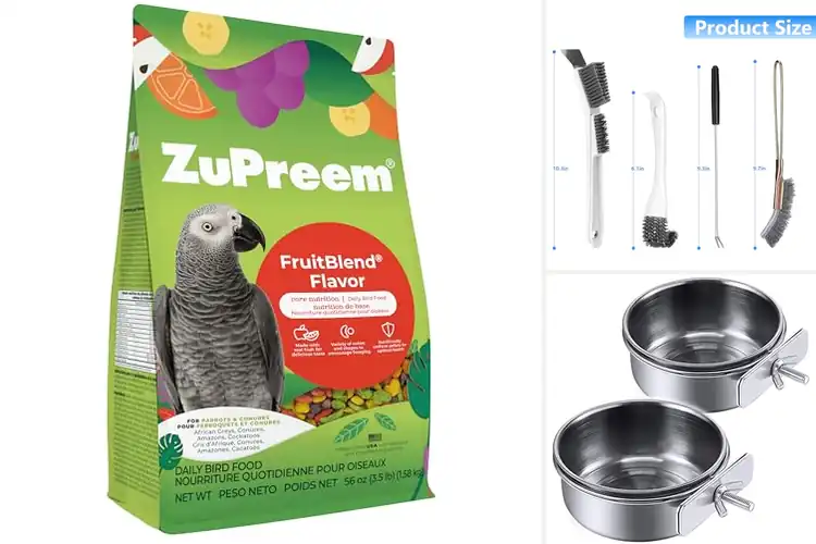 Detailed view of Best Parrot Supplies: Top Picks for Happy, Healthy Birds