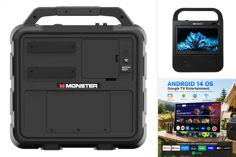 Detailed view of Best Portable Entertainment Systems
