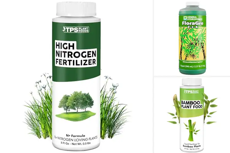 Detailed view of Best Rapid Growth Foods: 10 Easy Boosters for Faster Growth