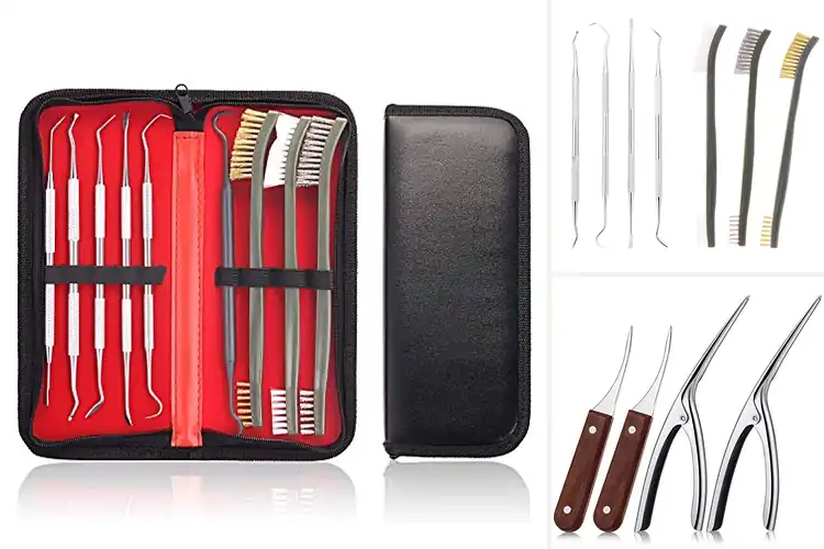 Detailed view of Best Shell Cleaning Tools: 10 Quick, Easy Choices