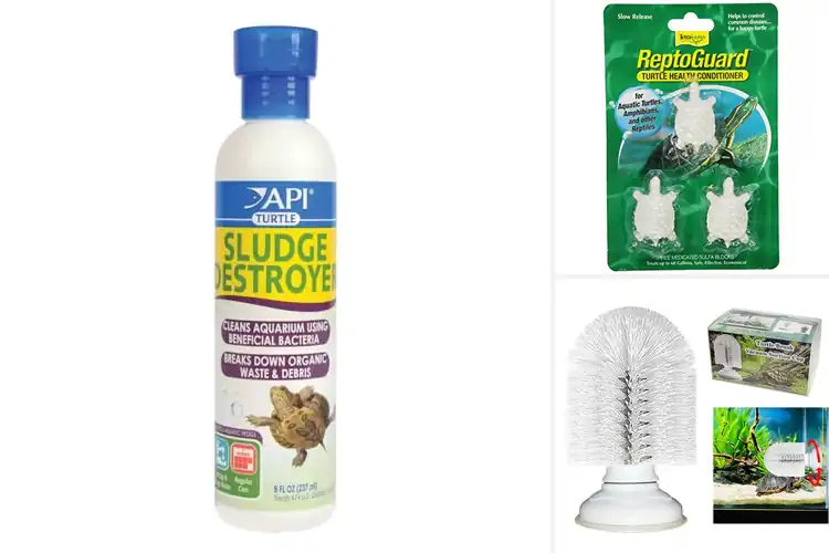 Detailed view of Best Turtle Tank Accessories